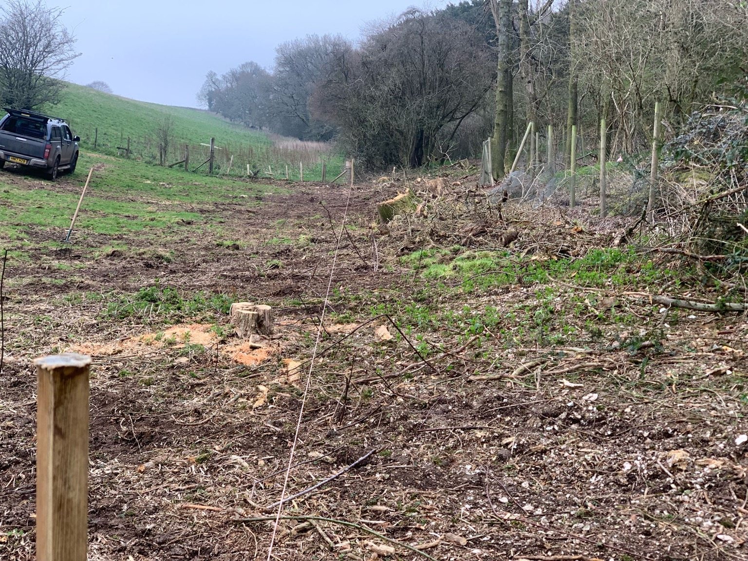 Cleared woodland site beside an open field
