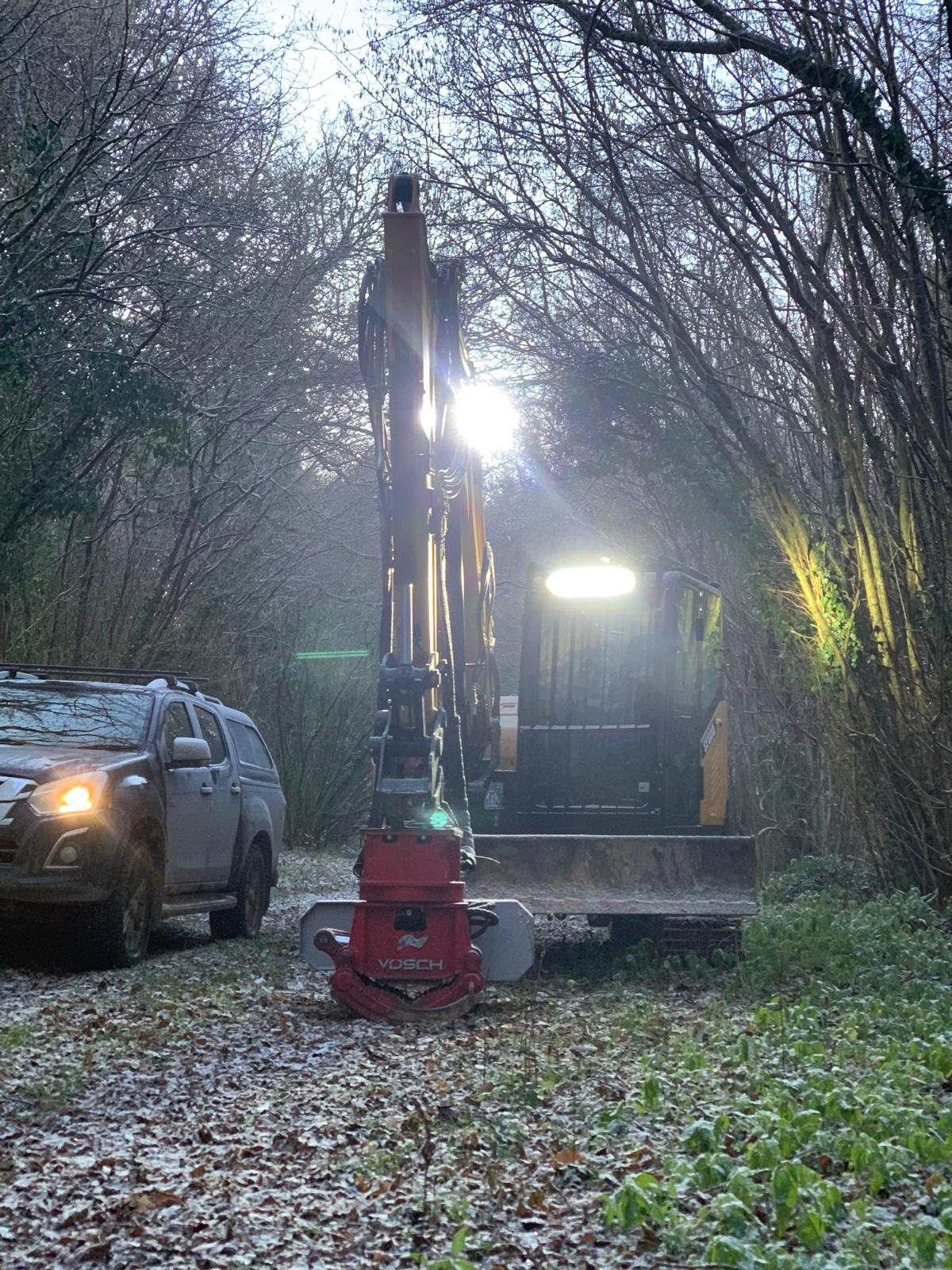 Illuminated forestry equipment in woodland at dusk