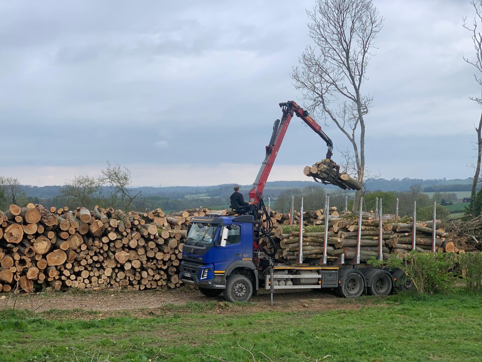 Timber lorry loading logs with a hydraulic crane